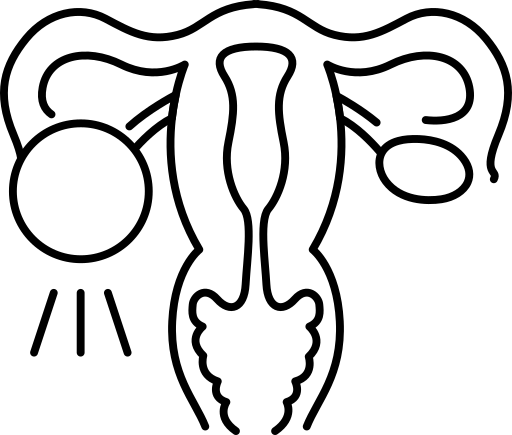 PCOS Icon