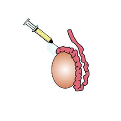 MESA Medical Illustration